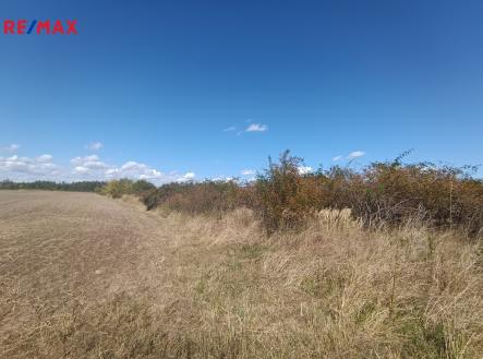 Prodej pozemku pro bydlení, 4 554 m²