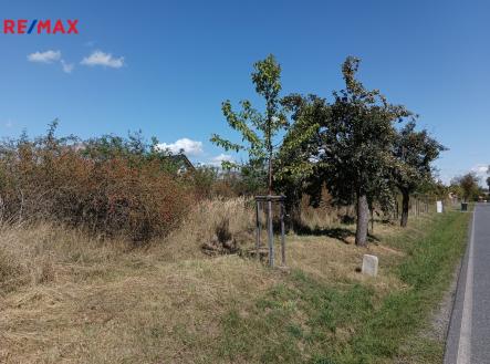 Prodej pozemku pro bydlení, 4 554 m²