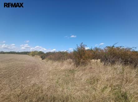 Prodej pozemku pro bydlení, 4 554 m²