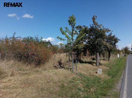 Prodej pozemku pro bydlení, 4 554 m²