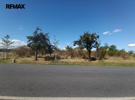 Prodej pozemku pro bydlení, 4 554 m²