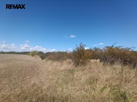 Prodej pozemku pro bydlení, 4 554 m²