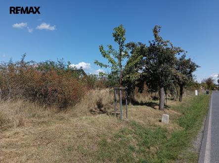 Prodej pozemku pro bydlení, 4 554 m²