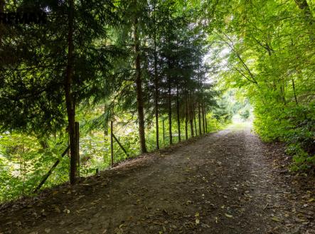 Prodej pozemku pro bydlení, 1 234 m²