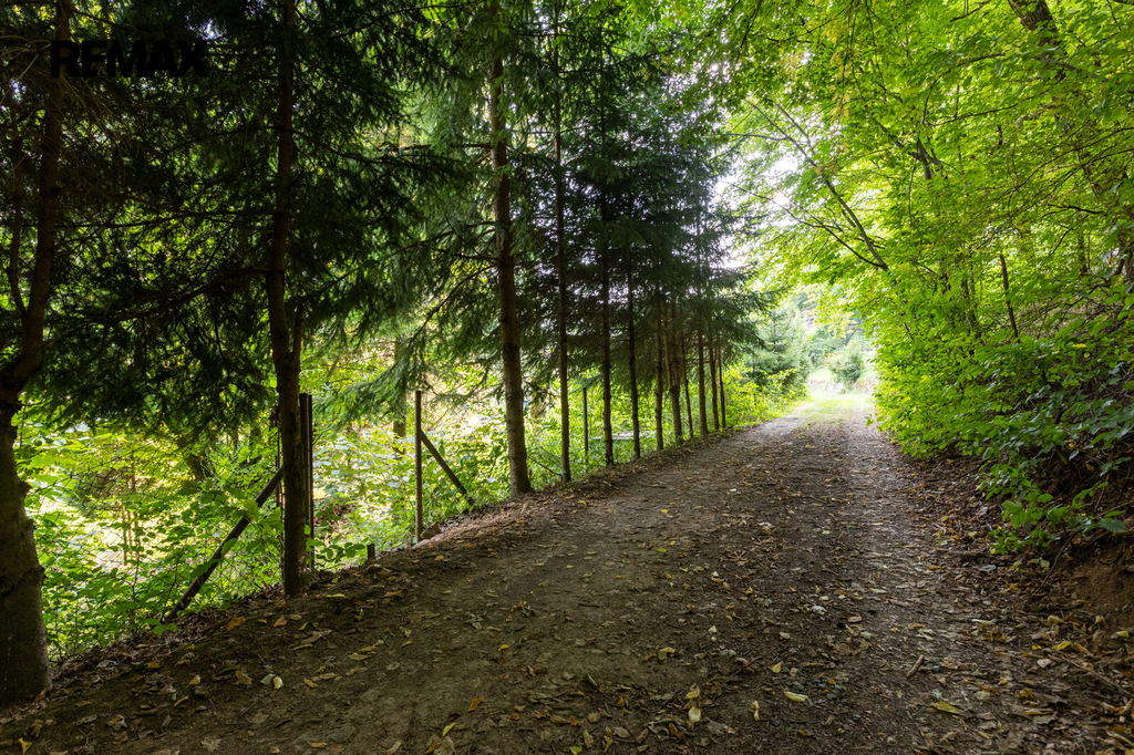 216a3964-hdr.jpg