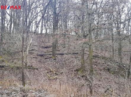 Prodej pozemku, ostatní, 4 150 m²