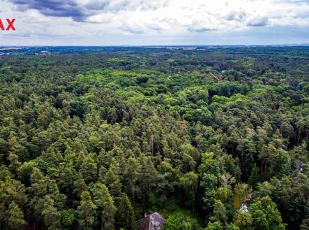 Prodej pozemku pro bydlení, 3 226 m²