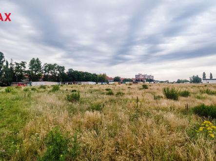 Prodej pozemku, zemědělská půda, 10 874 m²