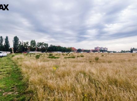 Prodej pozemku, zemědělská půda, 10 874 m²