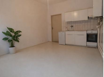 Prodej bytu, 1+1, 54 m²