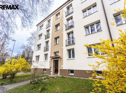 Pronájem bytu, 2+kk, 53 m² obrázek