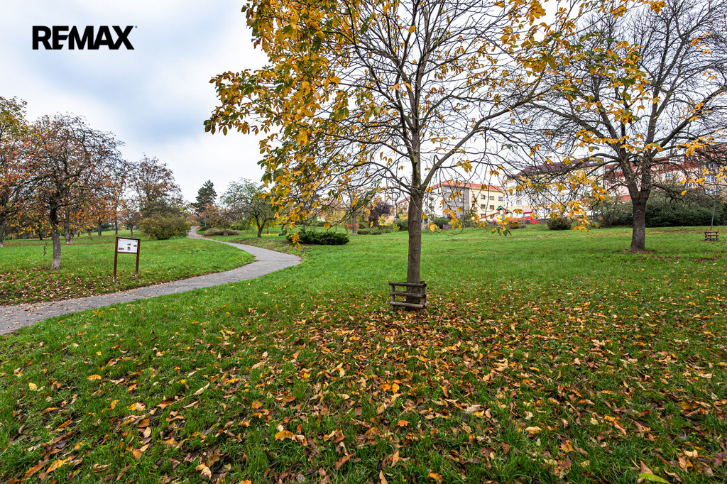 Fotku se nepodařilo načíst.