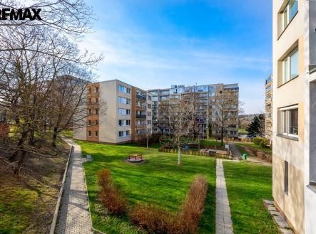 Spousta zeleně v okolí