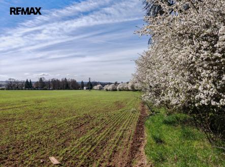 Prodej pozemku, zemědělská půda, 6 432 m²