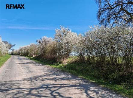 Prodej pozemku, zemědělská půda, 6 432 m²