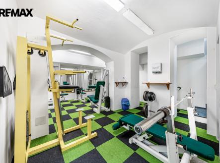 Pronájem obchodní prostory, 225 m²