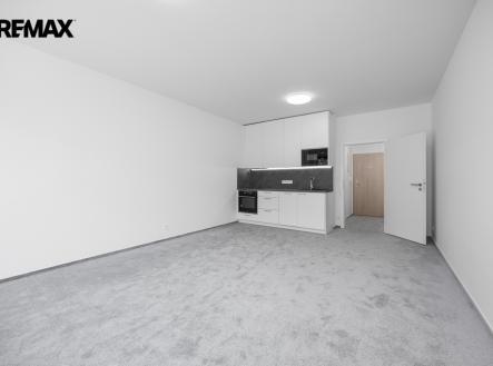 Pronájem bytu, 1+kk, 46 m²