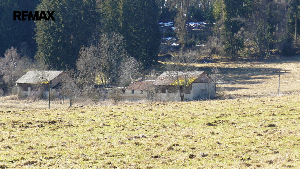 p1110212.jpg