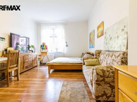Pronájem bytu, 1+1, 47 m²