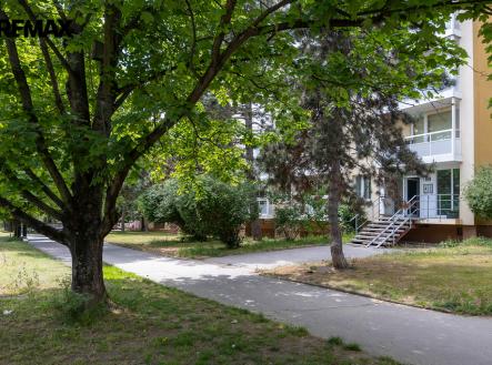 Pronájem bytu, 1+kk, 37 m²