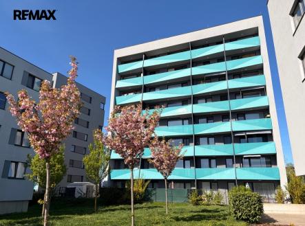 Pronájem bytu, 1+kk, 32 m²
