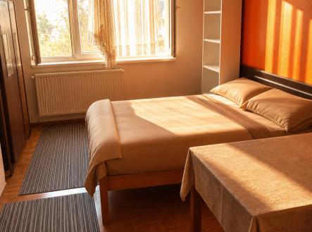 Prodej bytu, 1+kk, 29 m²