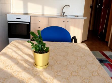 Prodej bytu, 1+kk, 29 m²