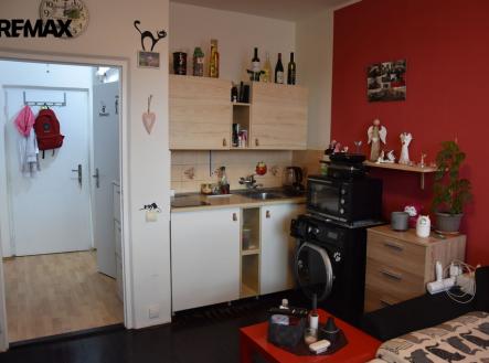 Pronájem bytu, 1+kk, 24 m²
