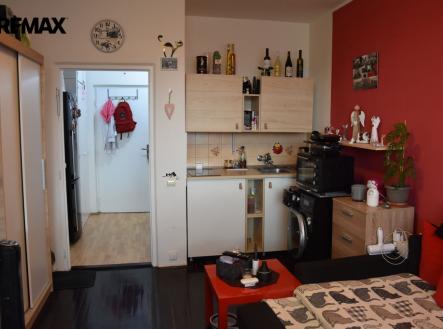 Pronájem bytu, 1+kk, 24 m²
