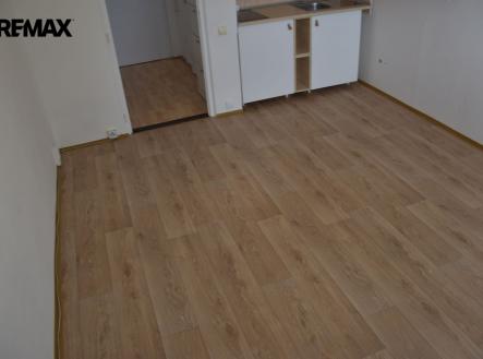 Pronájem bytu, 1+kk, 24 m²