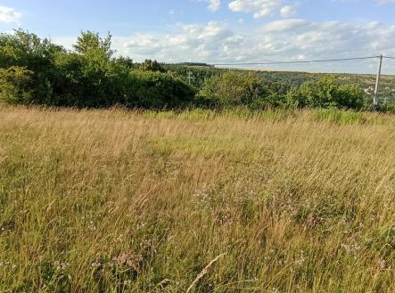 Prodej pozemku, zahrada, 730 m²
