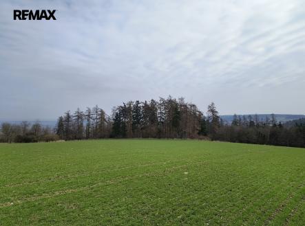 Prodej pozemku, zemědělská půda, 65 556 m²