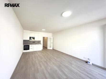 Pronájem bytu, 1+kk, 41 m²