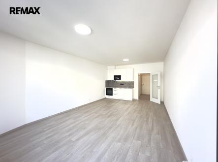 Pronájem bytu, 1+kk, 41 m²
