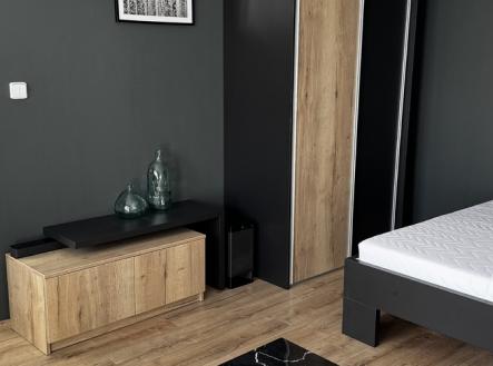 Pronájem bytu, 1+1, 46 m²