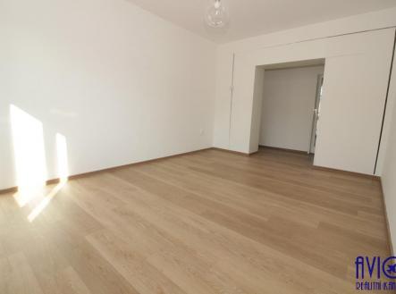 Pronájem bytu, 3+1, 70 m²