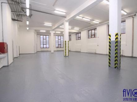 Pronájem skladovací prostor, 263 m²