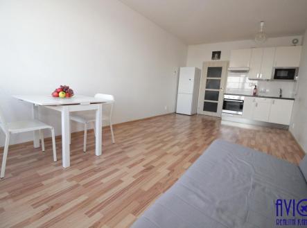 Pronájem bytu, 1+kk, 34 m²