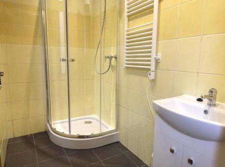 Pronájem bytu, 2+1, 63 m²