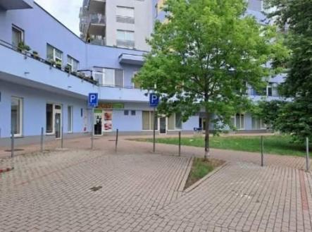 Pronájem