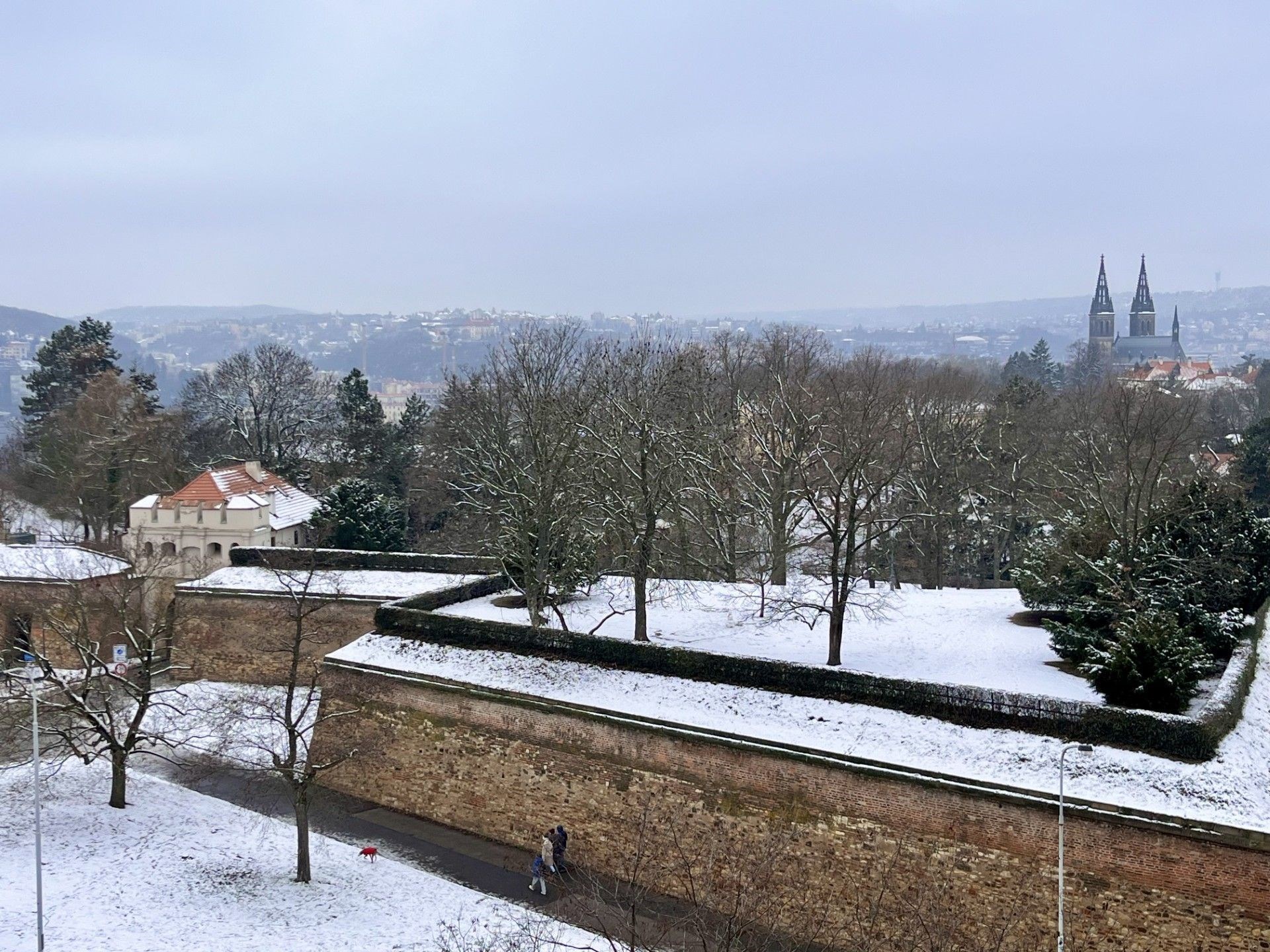 Fotku se nepodařilo načíst.