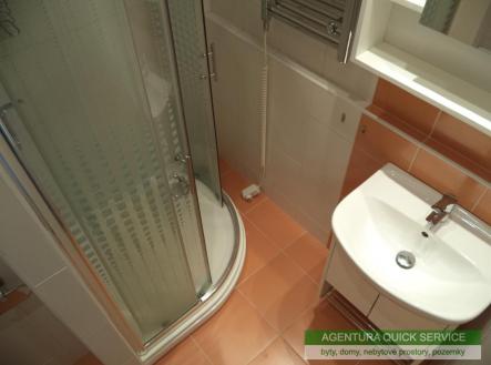Pronájem bytu, 1+kk, 30 m²