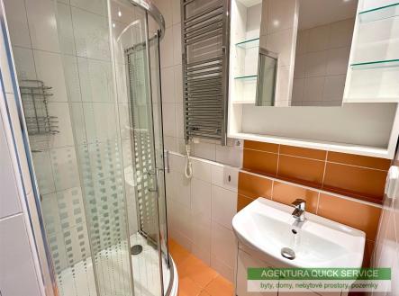 Pronájem bytu, 1+kk, 30 m²