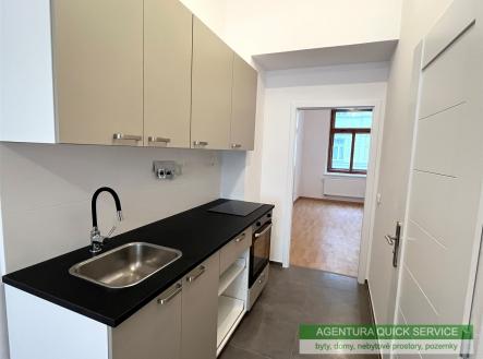 Pronájem bytu, 1+1, 47 m² obrázek