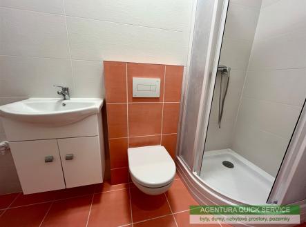 Pronájem bytu, 1+1, 47 m²