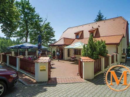 Prodej - dům/vila, 480 m²