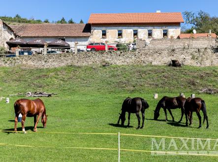 Prodej - dům/vila, 400 m²