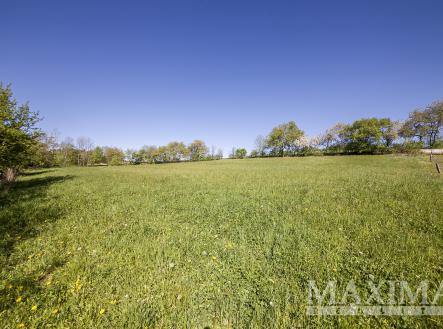 Prodej - pozemek pro bydlení, 5 259 m²