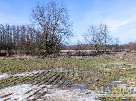 Prodej - pozemek, zemědělská půda, 5 987 m²