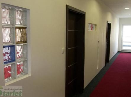 Pronájem kanceláře, 18 m² obrázek